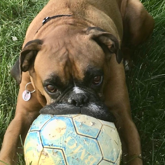 Meet your Posher, Teresa - Picture 2 of 4